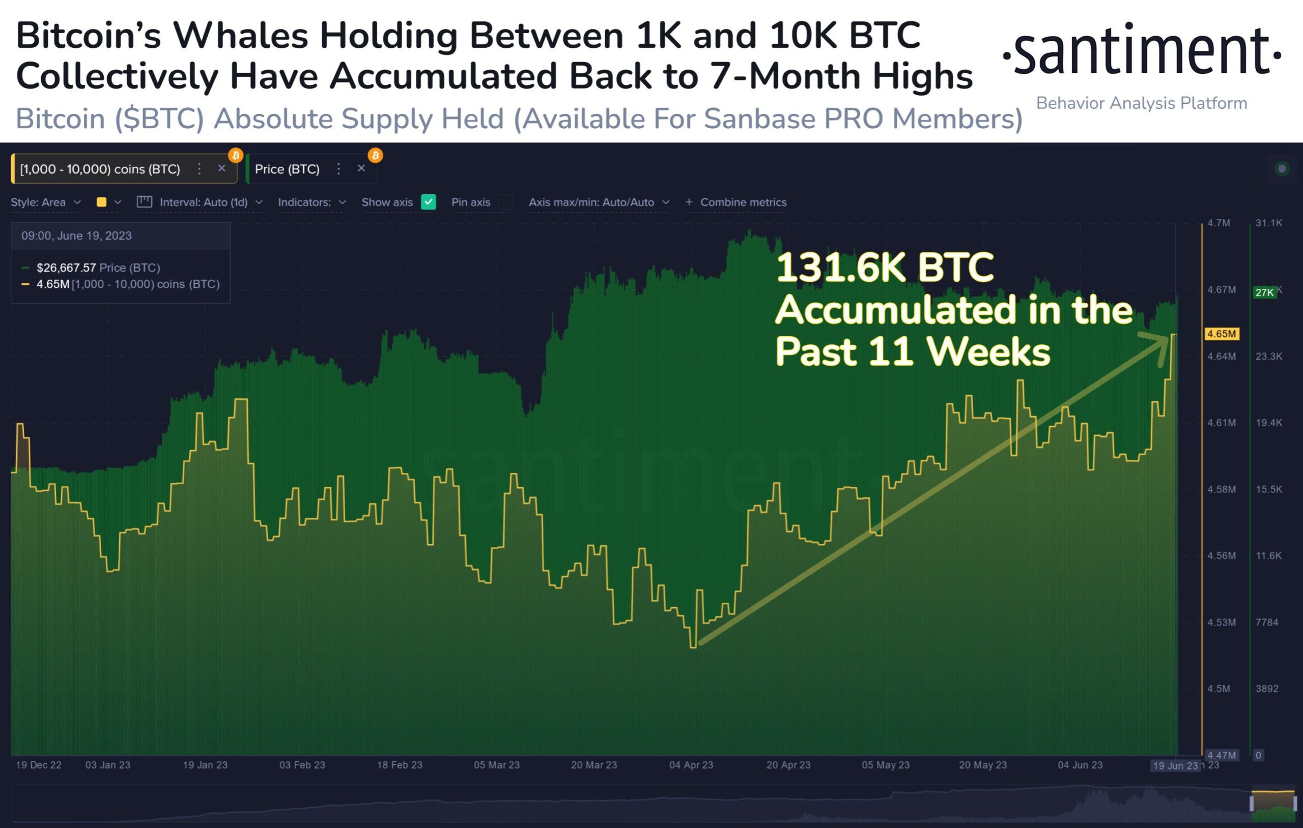 Bitcoin em Correção: Exaustão do Mercado ou Acumulação de Baleias?