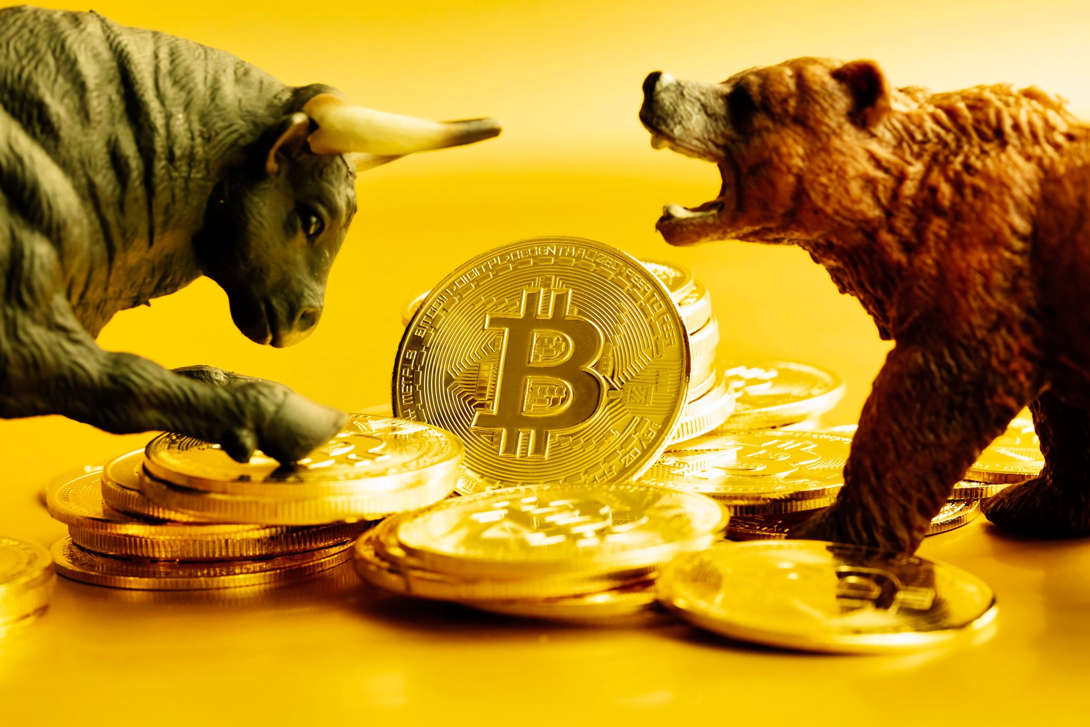 Bitcoin Dispara Acima de $116.000: O Que Está Impulsionando a Alta das Criptos?