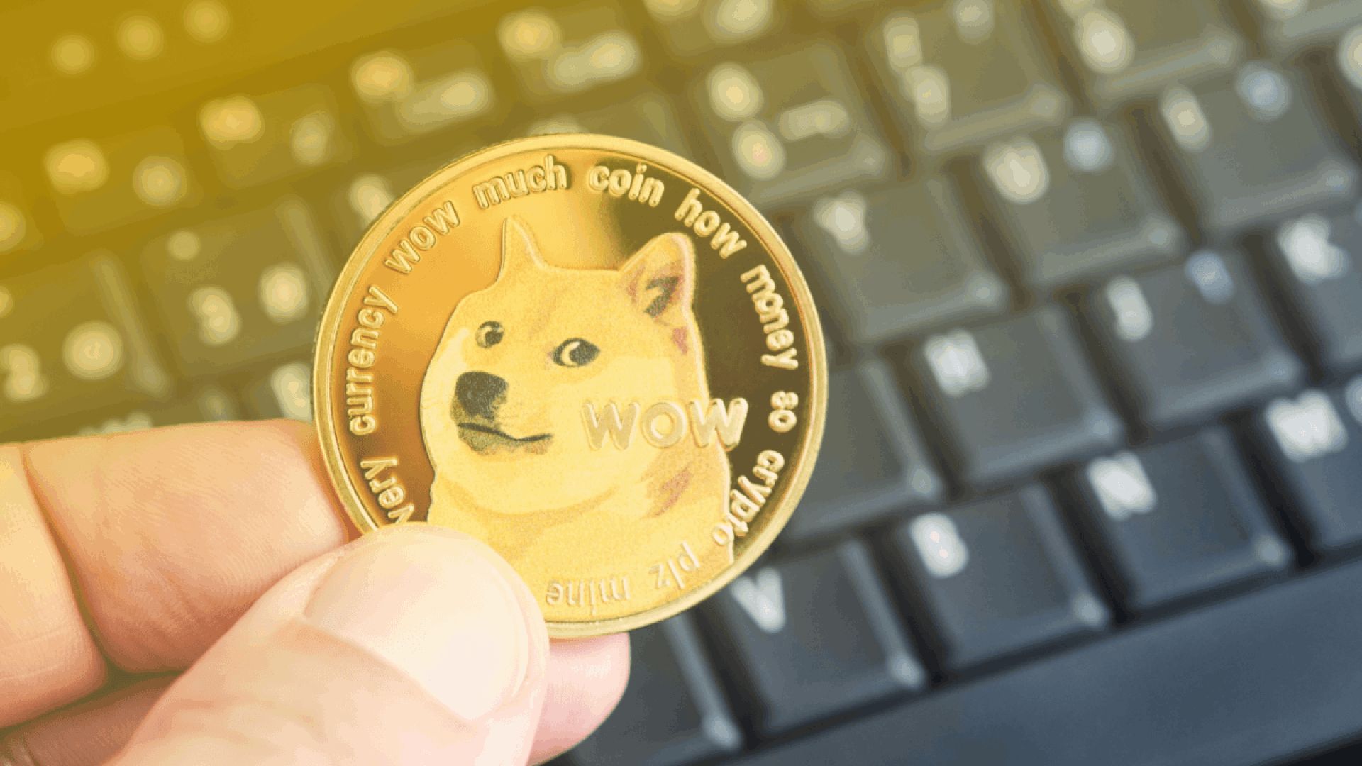 Dogecoin: Alvo Macro Inalterado e 3ª Onda de Alta no Horizonte, Apesar do Crash